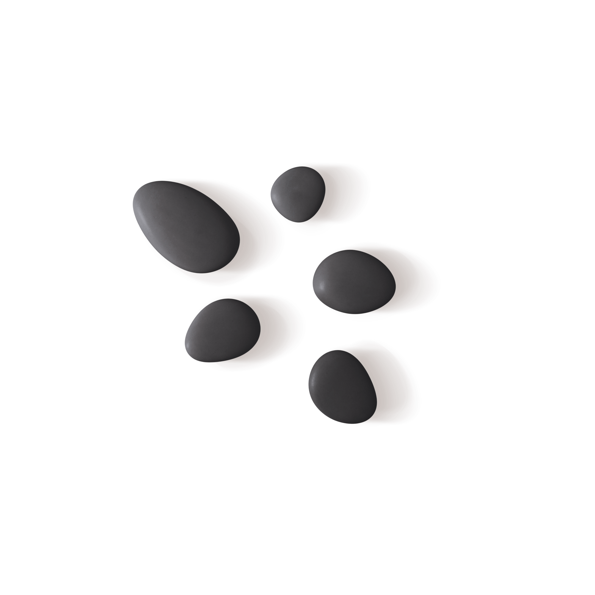 HOOKS Set of 5 | oval | black