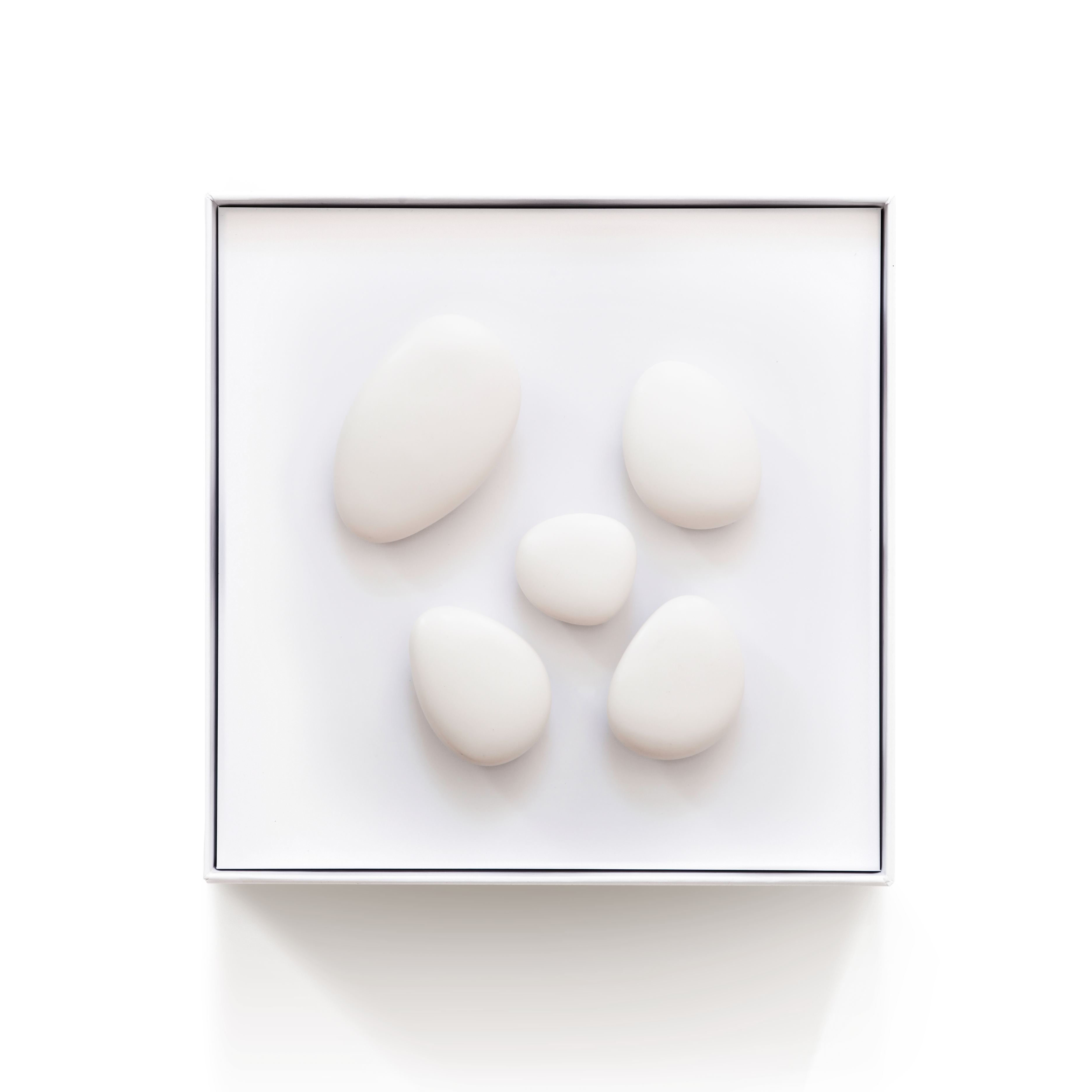 Wall installation HOOKS Set of 5 - oval