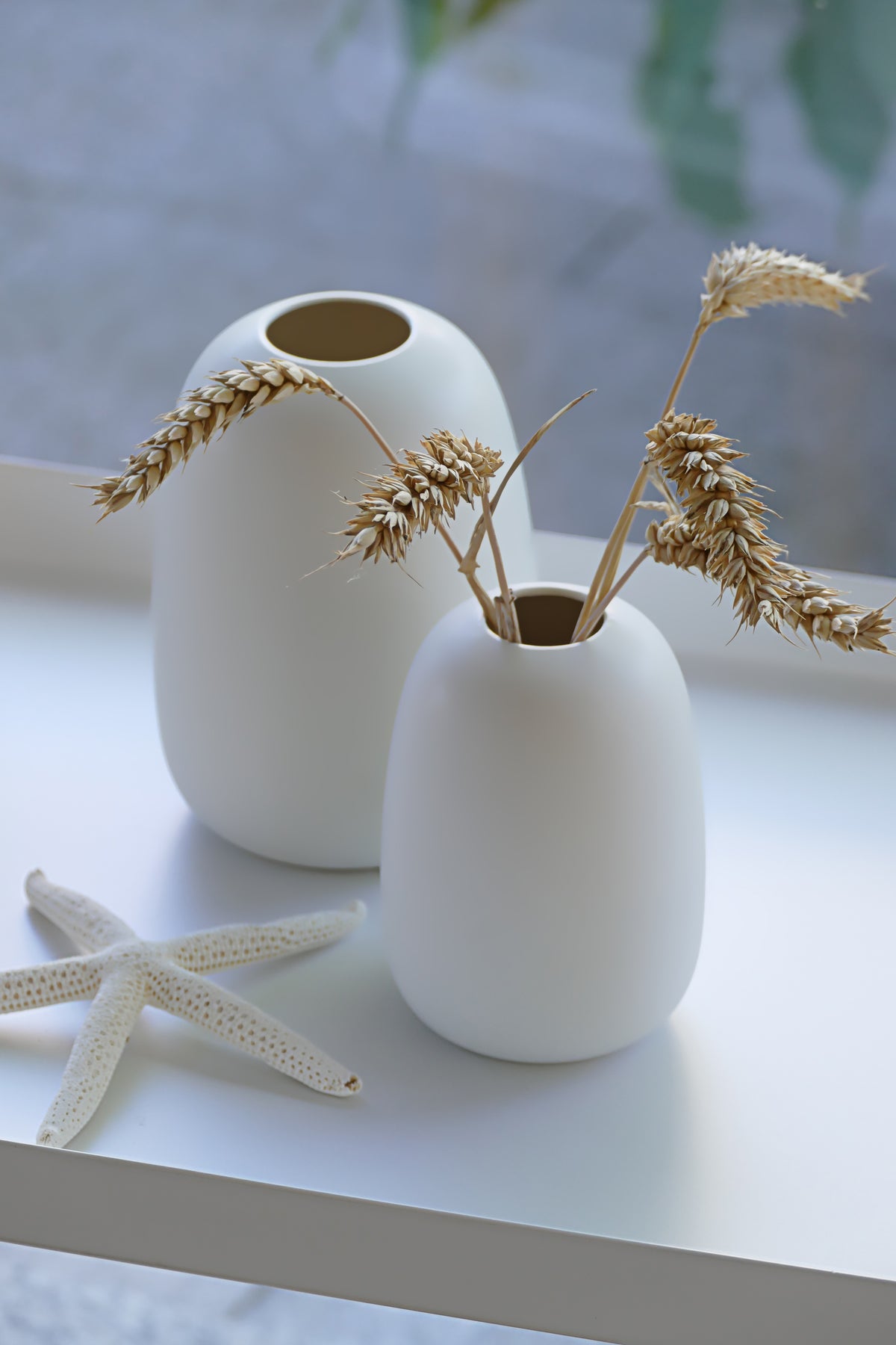 VASES_story_VASES_Story_Seestern_Fenster.jpg